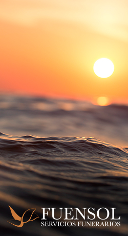 Estrategias de posicionamiento de tienda online y pymes en Málaga