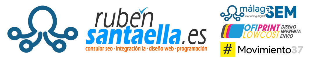 consultor seo para la costa del sol